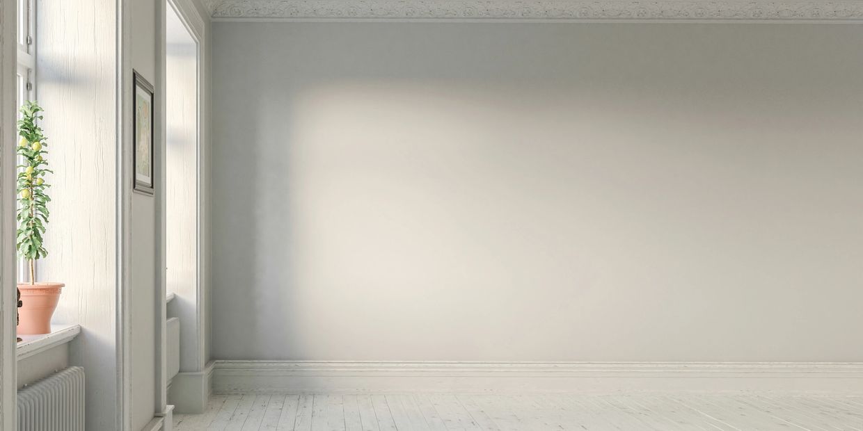 Empty room with light gray walls and a potted plant by the window.
