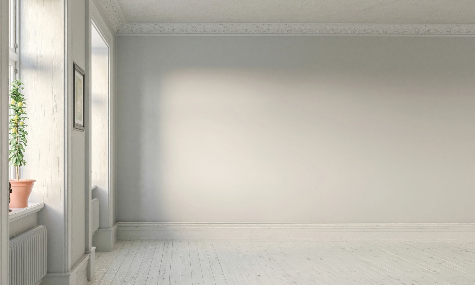 Bright, empty room with white walls and a lemon tree by the window.
