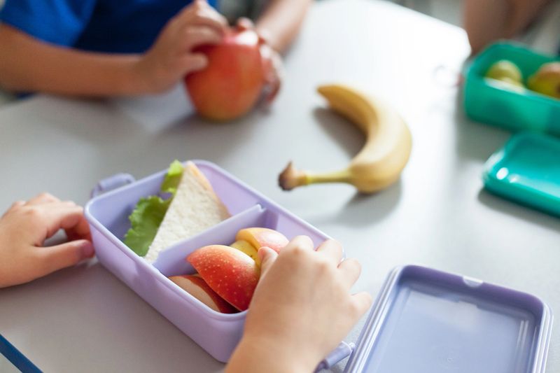 School kids eating healthy food from packed lunch boxes. Children sit at table in cafeteria. Pupils have vegetarian breakfast in canteen. Back to school concept. Lifestyle moment in elementary college
