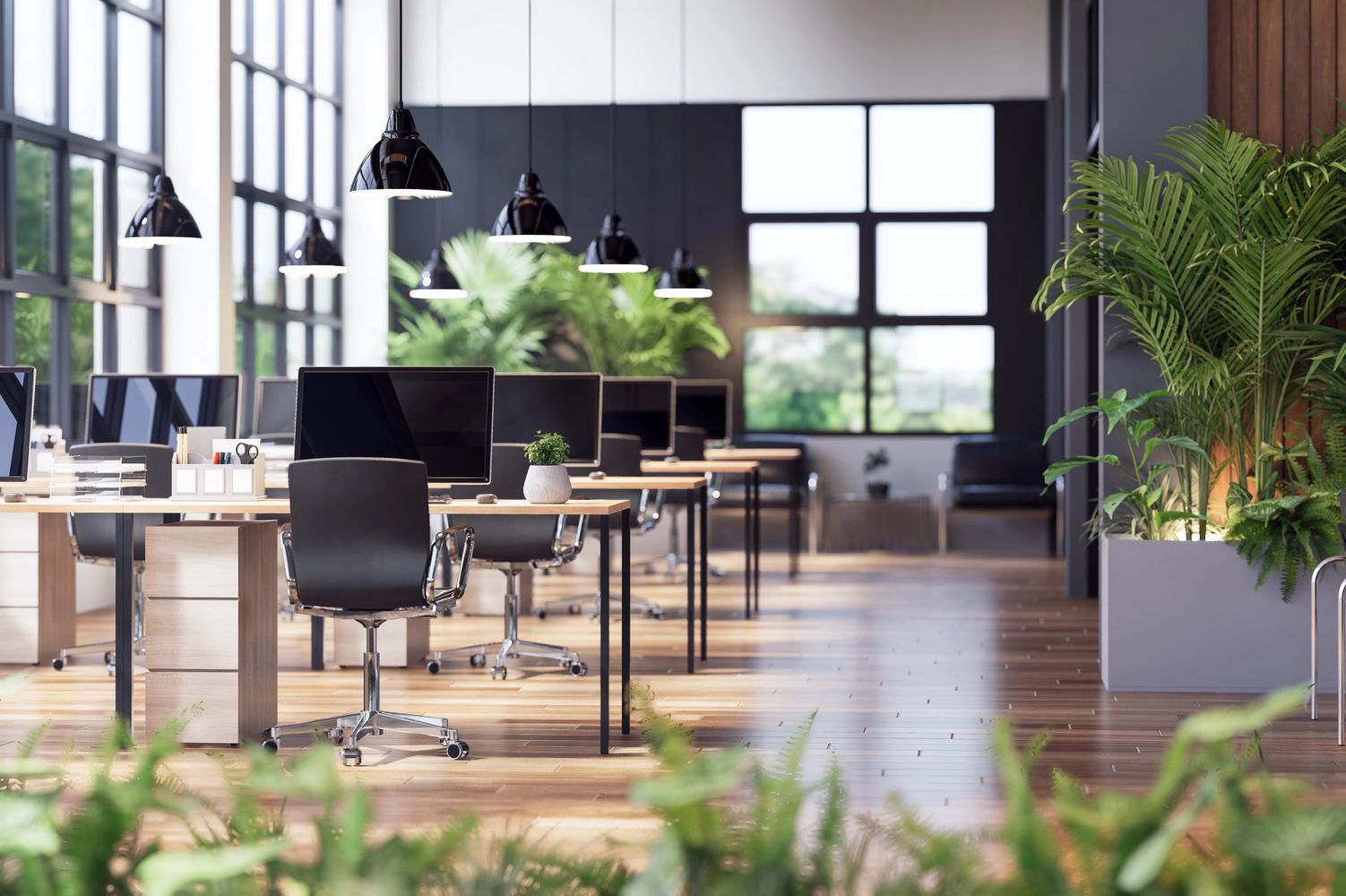 Modern office workspace with computers, black chairs, and abundant greenery.