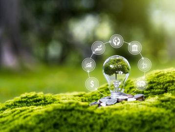 Lightbulb with a tree inside on moss, surrounded by environmental and economic icons.