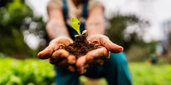 Nuestro objetivo es brindar a los productores alternativas efectivas, sostenibles y seguras