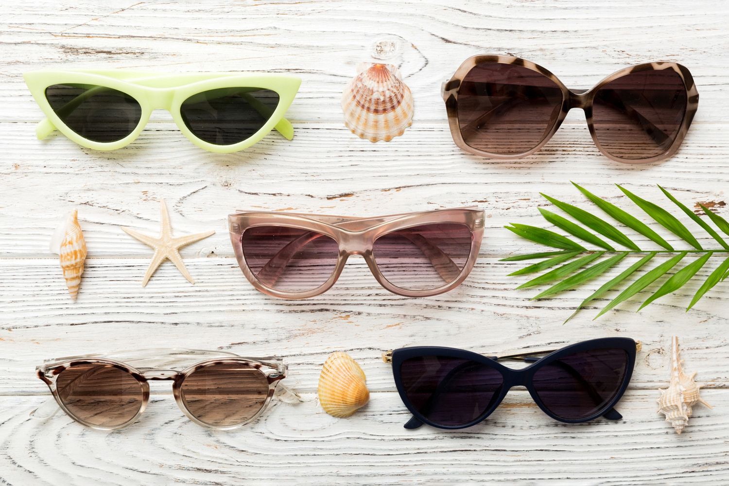 Five stylish sunglasses with seashells and a green leaf on white wooden background.