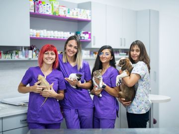 Four women in a veterinary clinic holding pets and smiling.