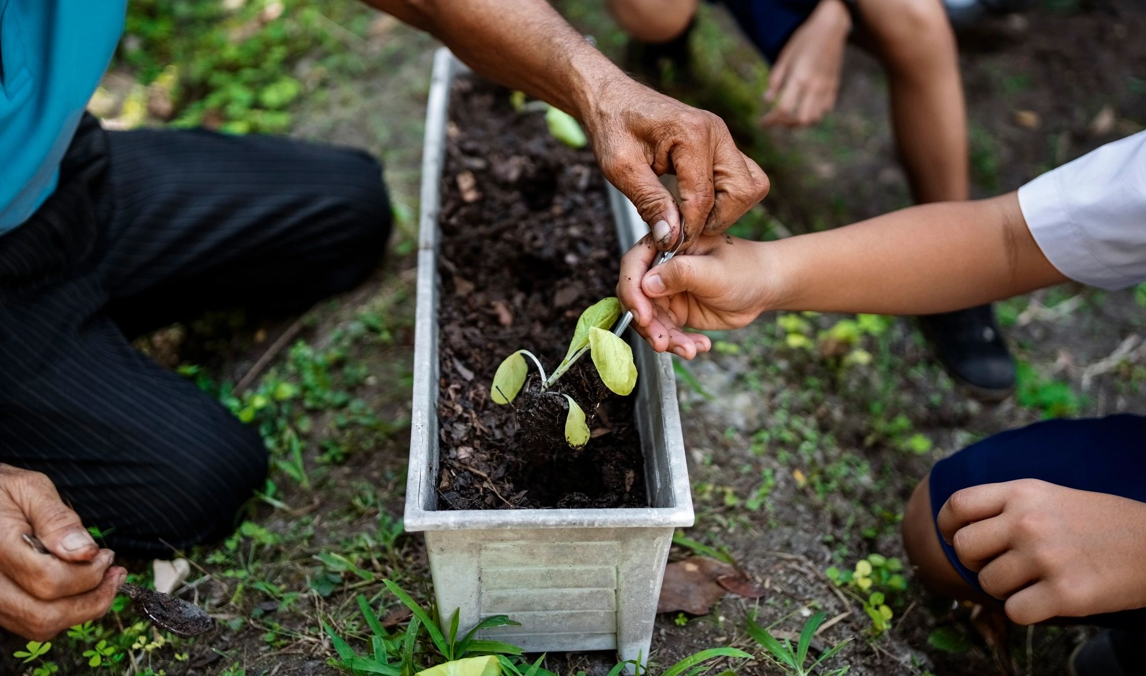 Community Seeds for Hope