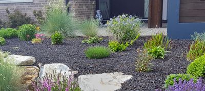 Well-maintained garden with colorful flowers and black mulch around a modern house.