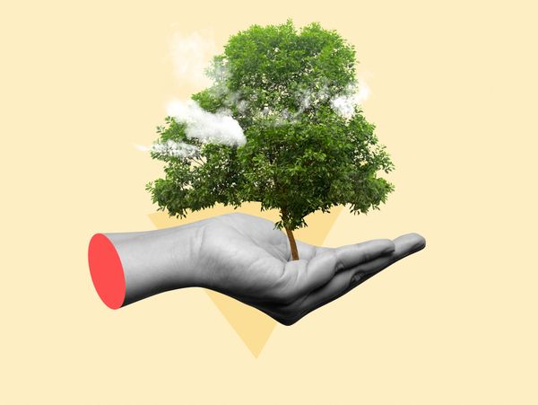 A hand holding a small tree with clouds among its leaves, symbolizing growth and care.