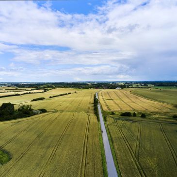 A long road through expansive farmland under a partly cloudy sky.