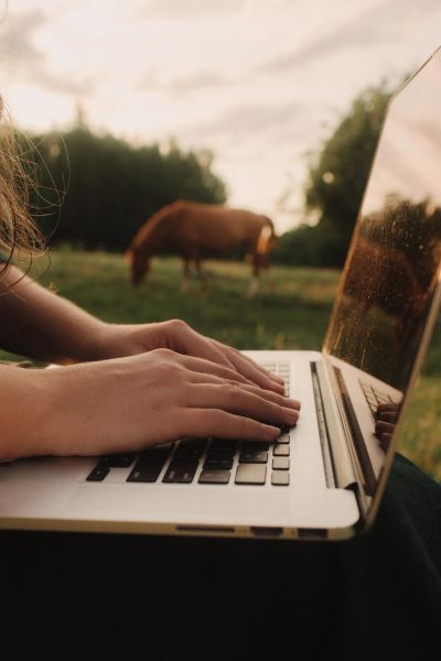 Person typing on laptop outdoors with horse in background.