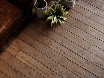 Wooden floor with two potted plants and a leather couch corner.