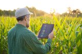 AI for Precision Farming in Australia: A Practical Guide (2026)
