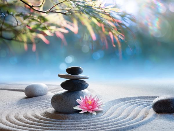 Zen garden scene with stacked stones, pink flowers, and raked sand.