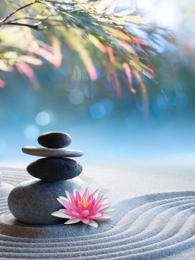 Zen garden with stacked stones, pink lotus, and raked sand patterns under soft light.