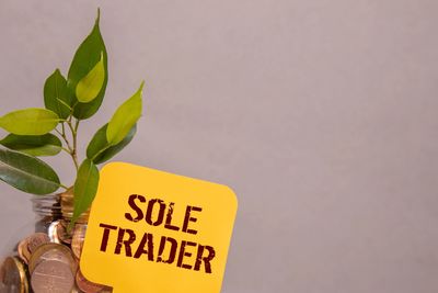 sole trader image next to money