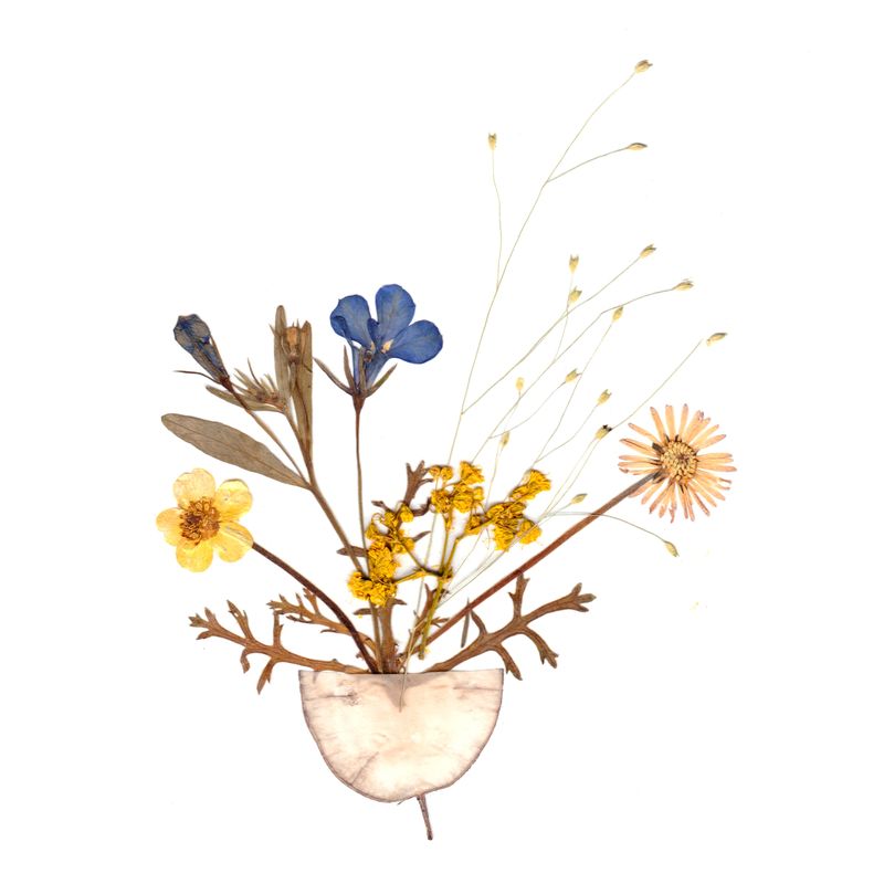 Arrangement of pressed European wildflowers.