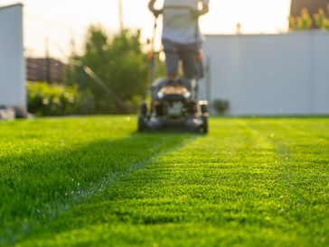 Person mowing a green lawn with a lawnmower at sunset.