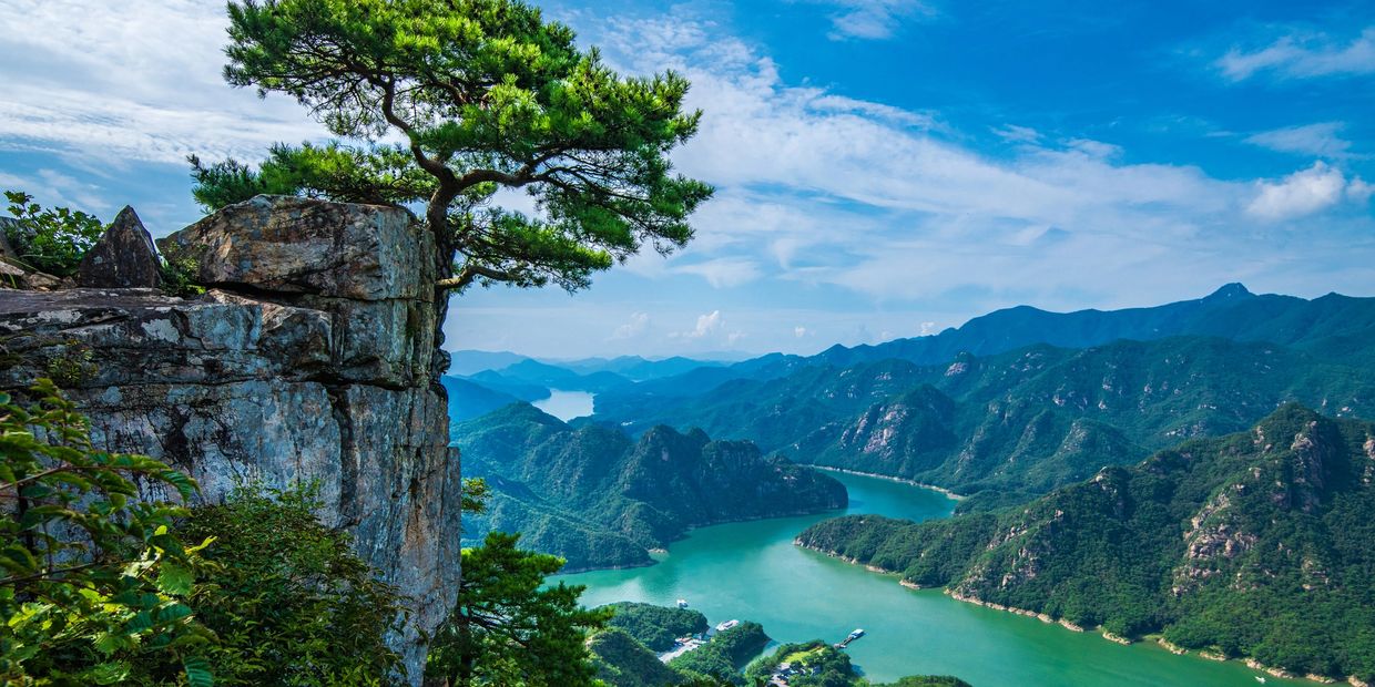 a large tree standing on top of a mountain.