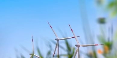 Wind turbines stand tall behind wildflowers under a clear blue sky.