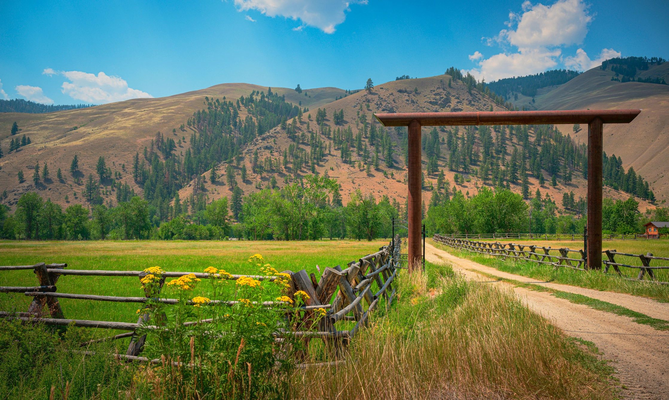 Monty Tool and Ranch
