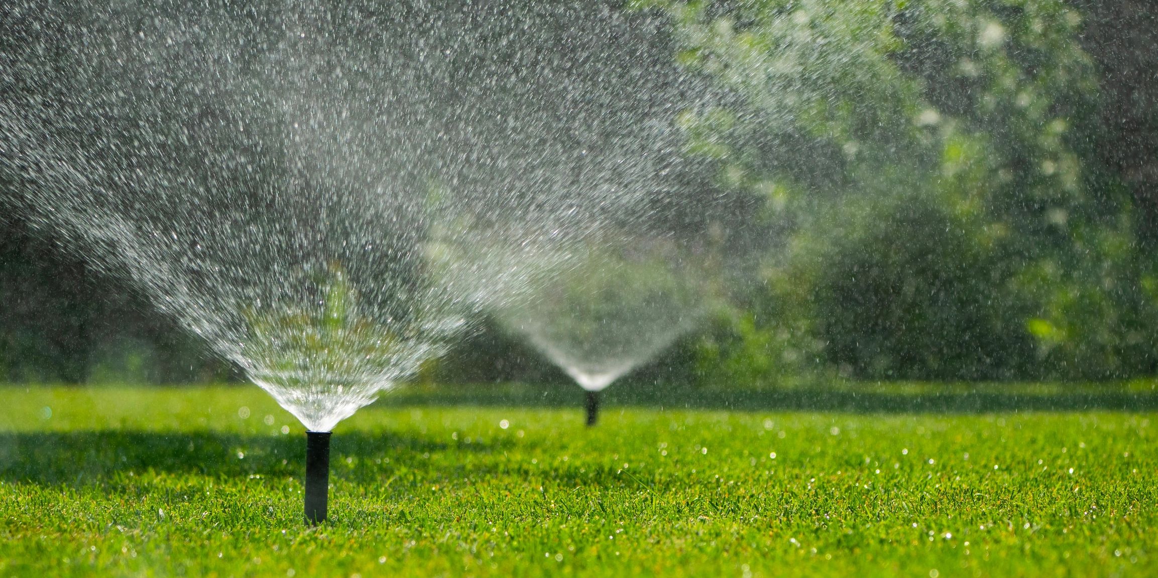 Full-service lawn care solutions in the Sherman, Denison Texoma region in and near Grayson County, T