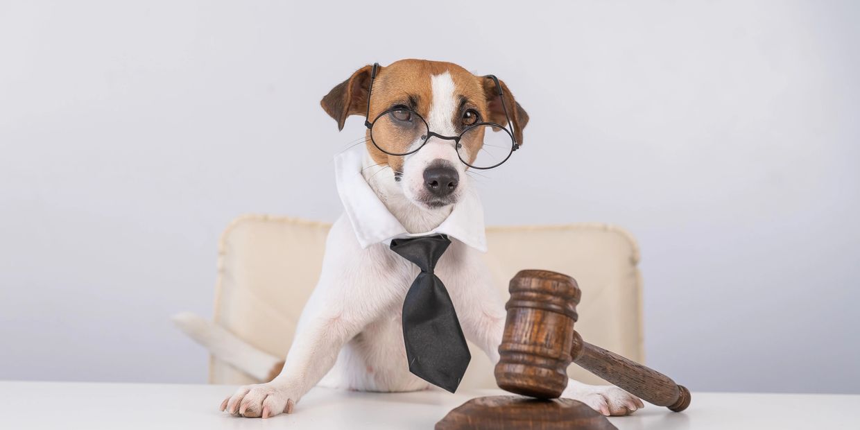 Dog in glasses and tie with gavel at desk, resembling a notary or legal professional.