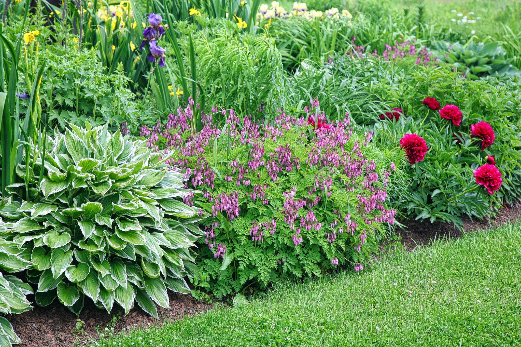 Hoedown Gardening & Landscaping
