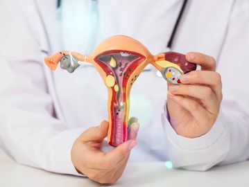 Endometrial polyp, uterine fibroid, IUD retrieval. Abnormal uterine bleeding. Uterine Visualization.