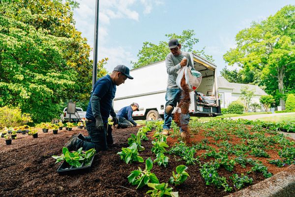 Our commercial landscaping services include lawn care, irrigation system installation, and landscape