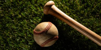 A baseball and bat resting on grass.