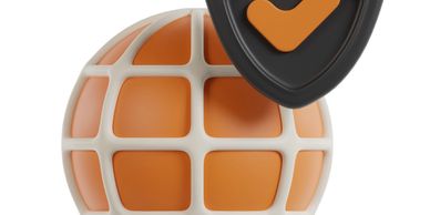 Orange globe with a black shield and check mark symbolizing internet security.