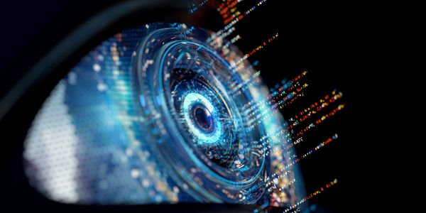 Virtual CCTV camera health check. CRAFTSMAN & BLACKSMITH