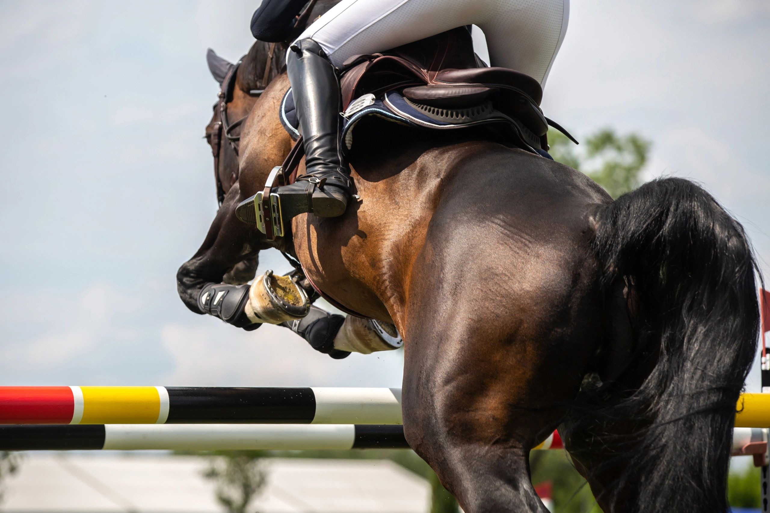 Hyperformance Horse