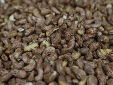 Close-up of raw cashew nuts.