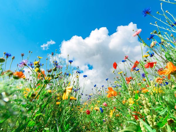 Child Counselling Haywards Heath