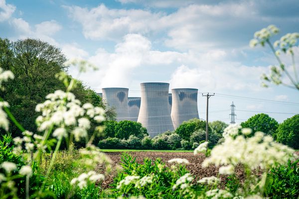 Cooling towers of a power plant behind green fields and flowers.