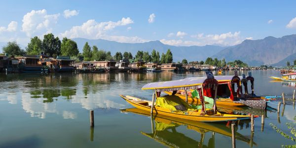 Traditional yellow boats docked on a dal lake sri nagar, kashmir with houseboats and mountains in the background. tour package to kashmir sonmarg gulmarg gondola ride