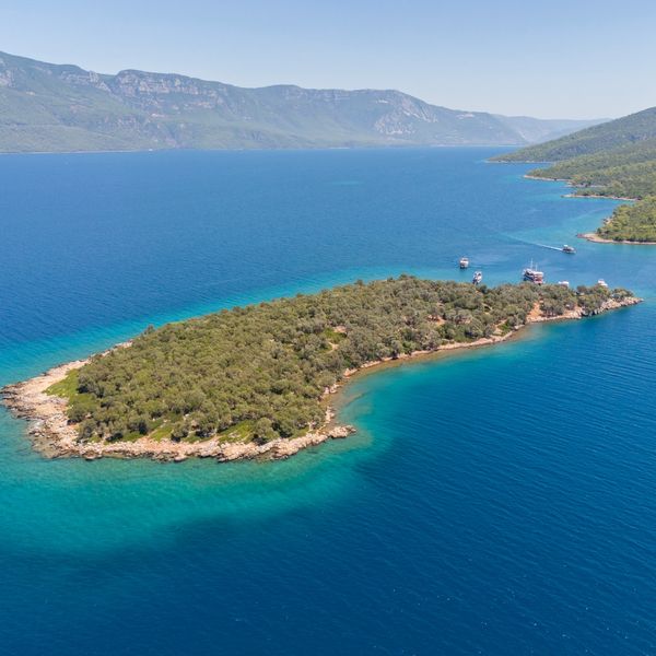 Berrak mavi sularla ve uzaktaki dağlarla çevrili yemyeşil bir ada.