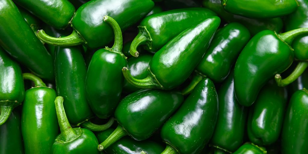 A close-up of fresh green jalapeño peppers.