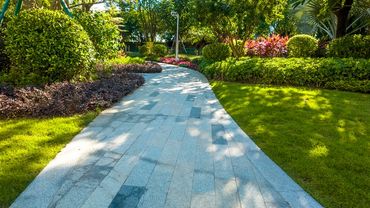 Sunny garden pathway surrounded by greenery.