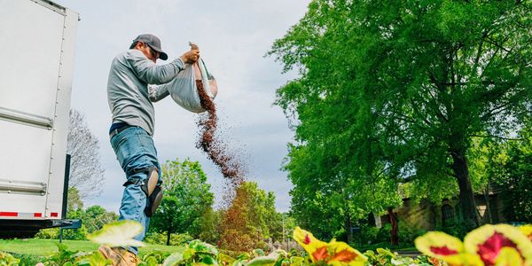 A man spreads mulch over a flower bed in a garden on a sunny day.