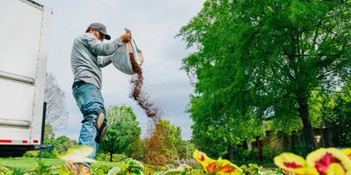 A man spreads seeds or soil in a garden on a sunny day.