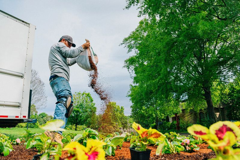 Professional Landscaper Hispanic Crew proudly working together to Plant a Flowerbed in a Public Neighborhood Park Median Green Space. Photo taken in Tennessee, USA (Southern USA)