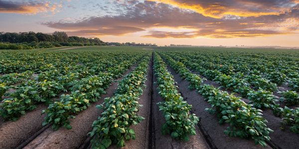 Agricultural Appraisal