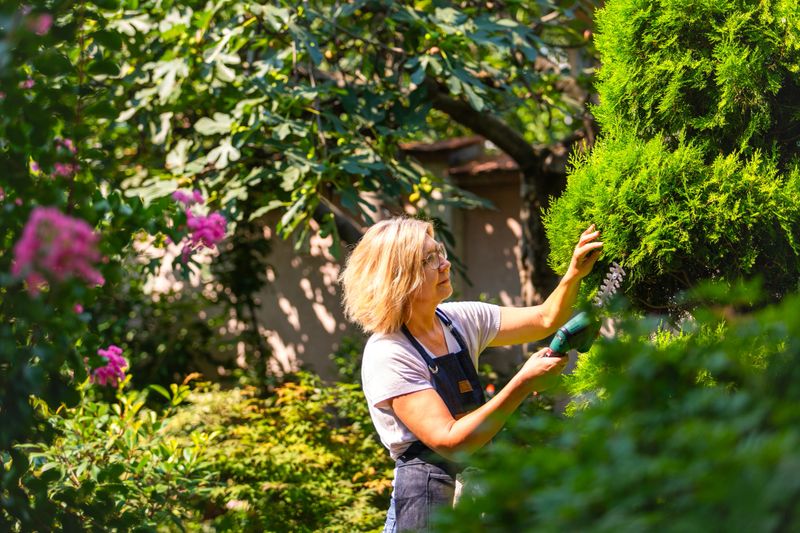 Mature woman  working in her formal garden. She holding electric  trimmer to cut the treetop in garden