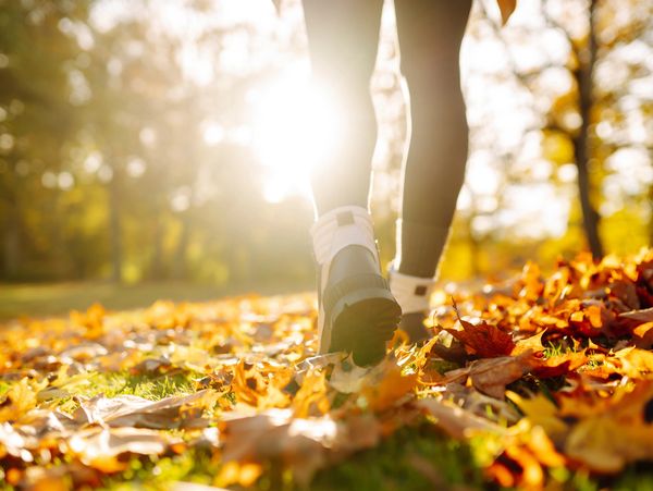 Person walking through autumn leaves on a sunny day.