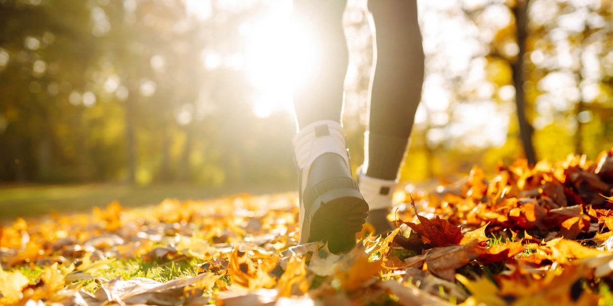your pathway to wellness with MindZen Psychology