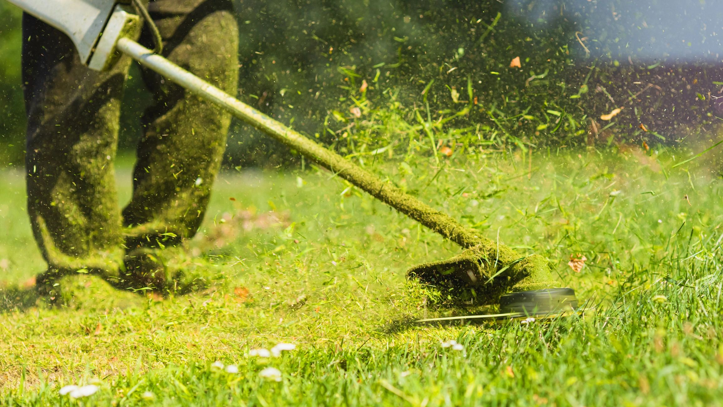 Lawn Services List