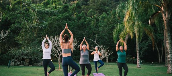 Gym equipment: weights, barbells, yoga ball.