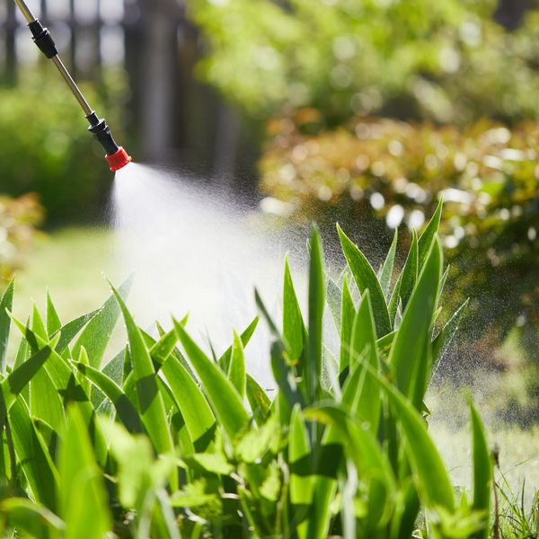 SVTL CLEANING SERVICES SPRAYING PESTICIDE FOR LANDSCAPE IN KL & SELANGOR