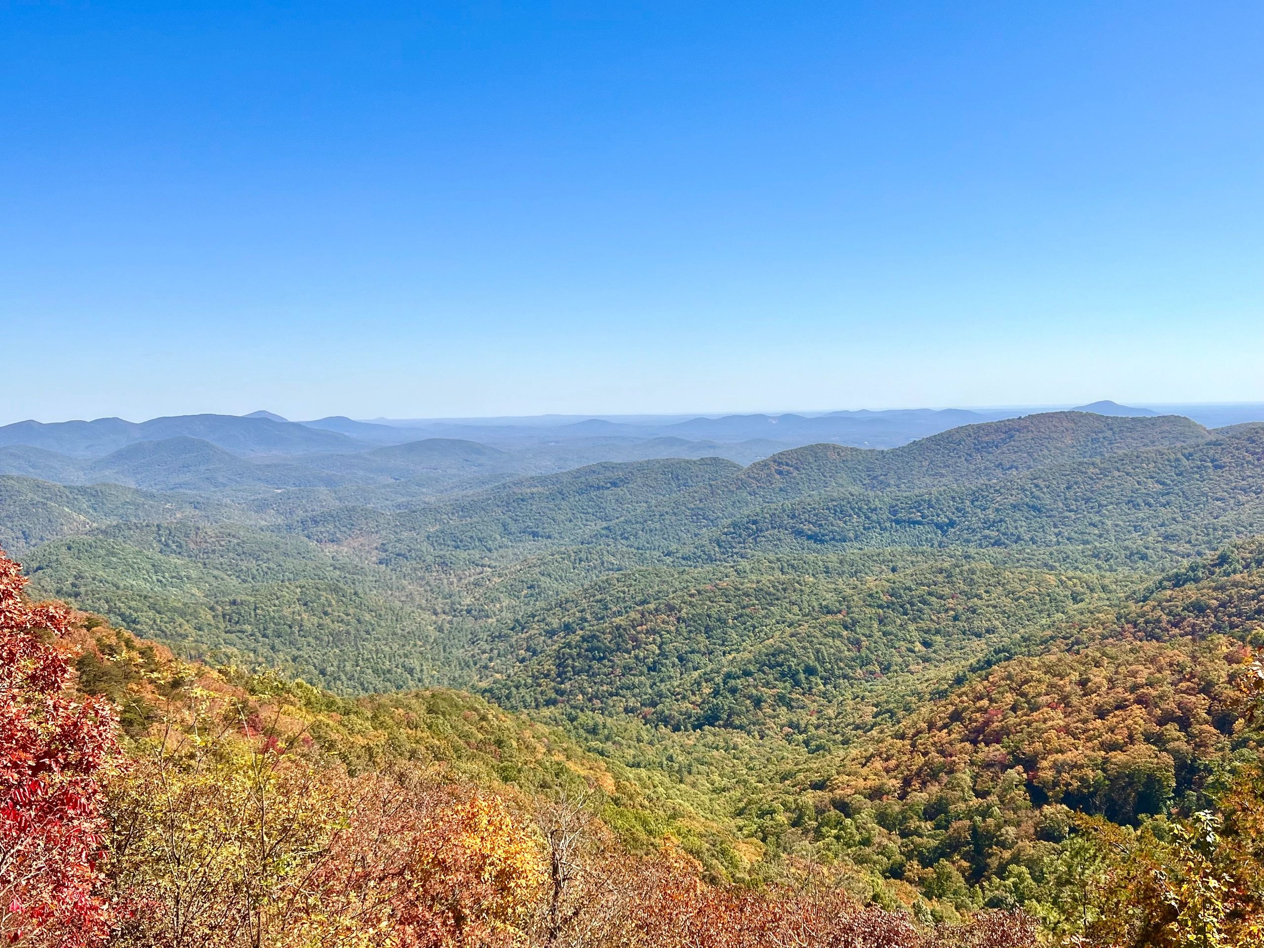 Mountain landscape with clear blue sky and colorful trees.
